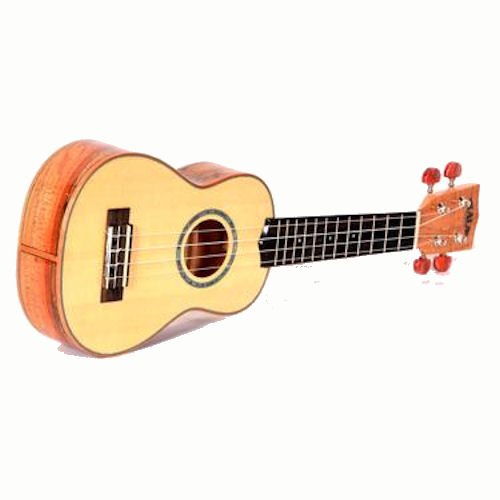 Amazon.co.jp: Kala KA-FMS フレームドスパッテッドメープルソプラノ